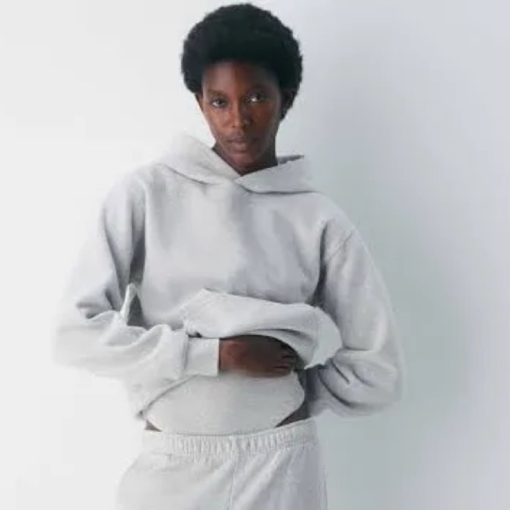 Aritzia Perfect Hoodie Sweatfleece Cozy Fleece in Gray
